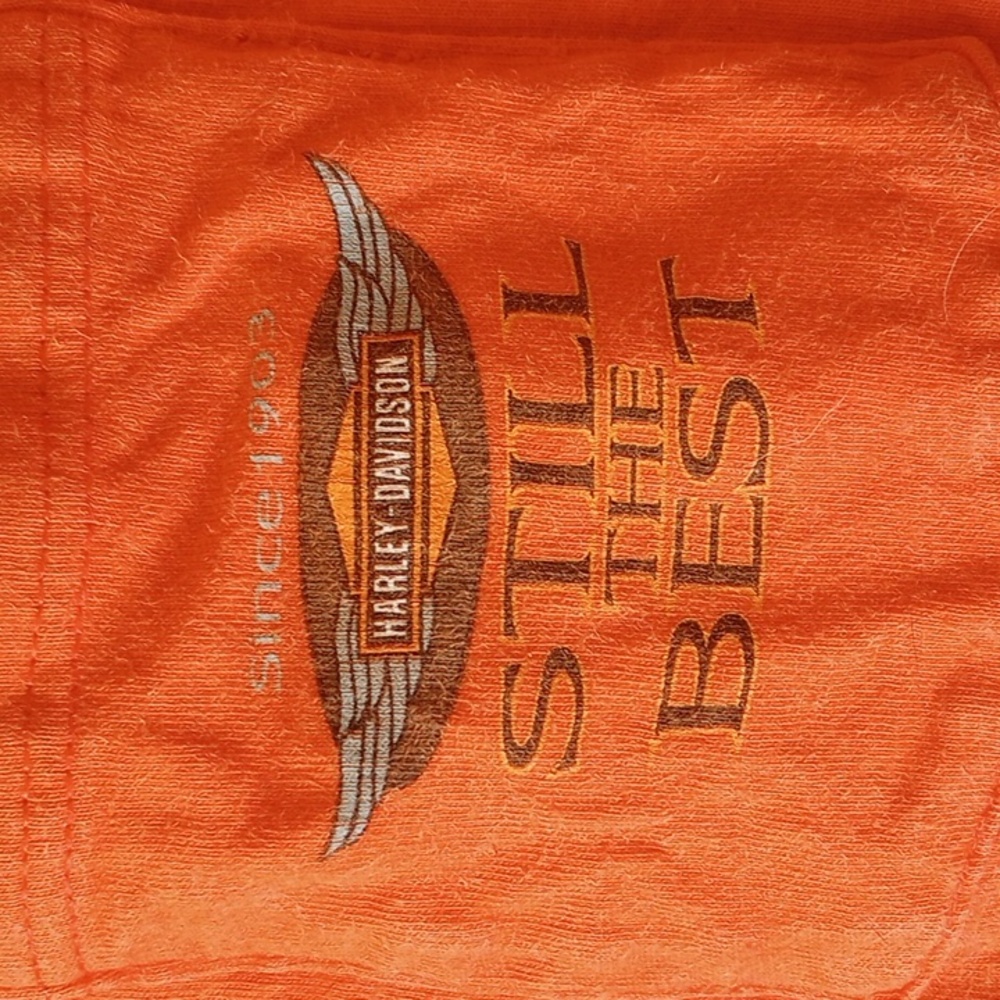 Vintage Harley-Davidson biker shirt